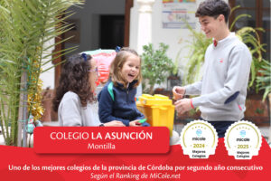 La Asunción Montilla mejores colegios de Córdoba ranking micole 2025